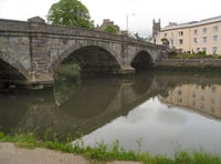 Dramatic reduction in Totnes planters