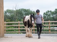 Prestigious award for Mare and Foal Sanctuary student