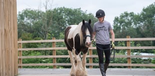 Prestigious award for Mare and Foal Sanctuary student