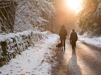 Woodland Trust recommended walks