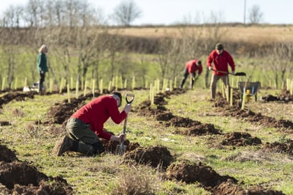 Charities send urgent SOS for nature