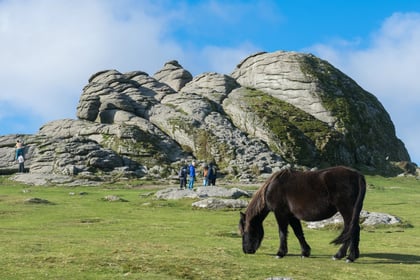 MPs secure inquiry into management of Dartmoor