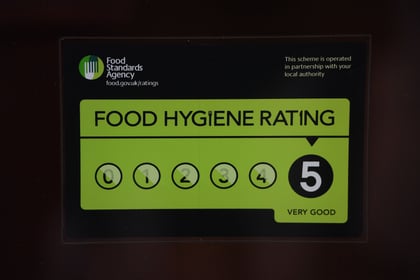Food hygiene ratings given to 19 South Hams establishments