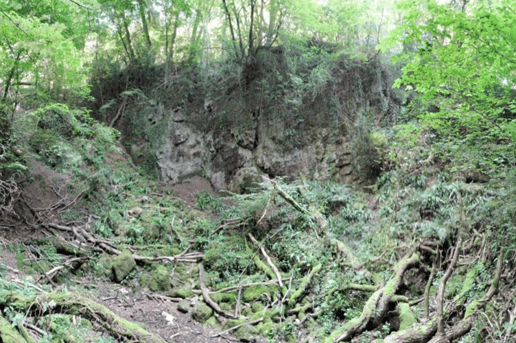 Puritan's Pit, Newton Abbot