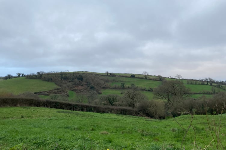 South Hams countryside near Modbury