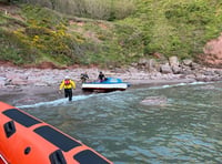 Two adults and two dogs rescued by Dart RNLI