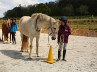 Helping young people with horses