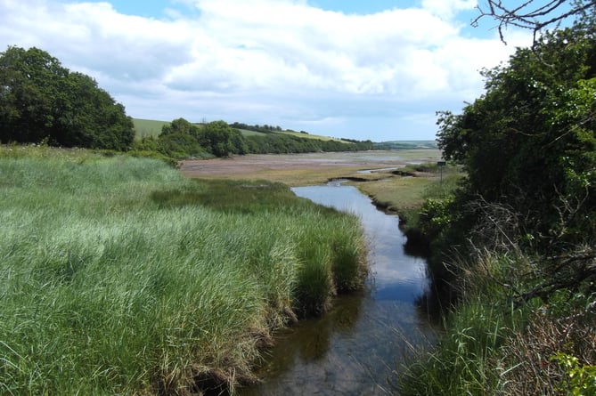 BlanksMill Bridge, With sea couch grass in the foreground - Gordon Waterhouse