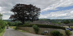 Speed limit cut unlikely on busy Totnes road