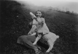 Higher Coombe Farm, East Allington - Lady bottle feeding lamb in field.