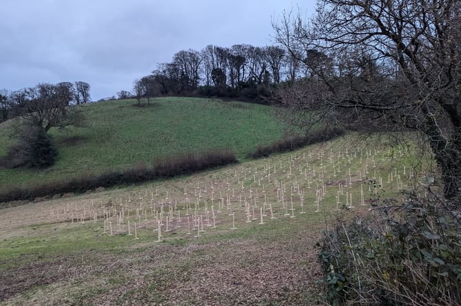 Bowden Pillars Farm