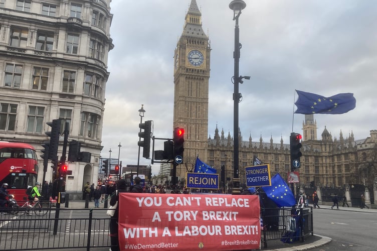 Rejoin campaigners at Westminster