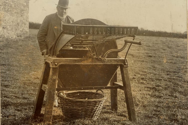 1890 George Sandover, of Woolston, West Alvington, with his patent turnip cutterand a basket called a "maun(d )" to carry chopped turnip.