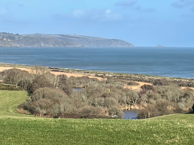 Slapton Higher Ley with its pools and reeds - Mike Hitch