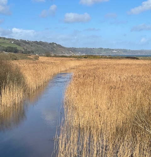 The Gara River winding itself through the reeds of the Higher - Mike HitchLey